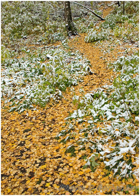 autumn_path_to_winter