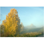 autumn_yellow