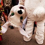 Карнавал 2011