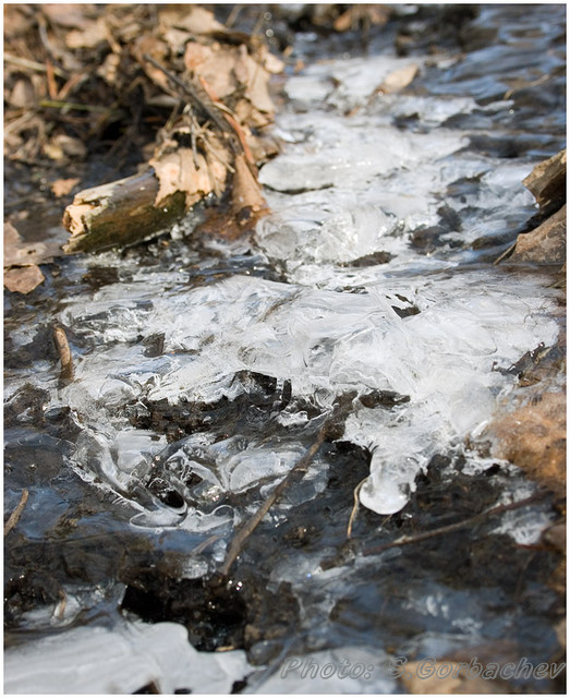 icy_streamlet