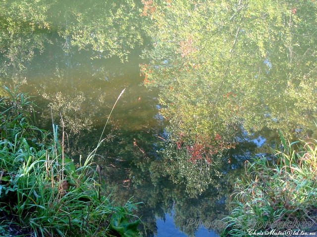 autumn_water_reflection