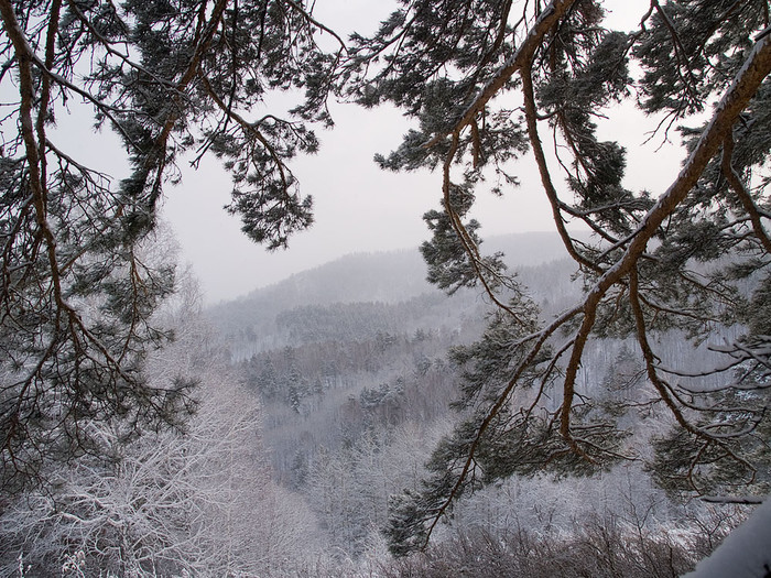 Belokur_Nature_043.jpg