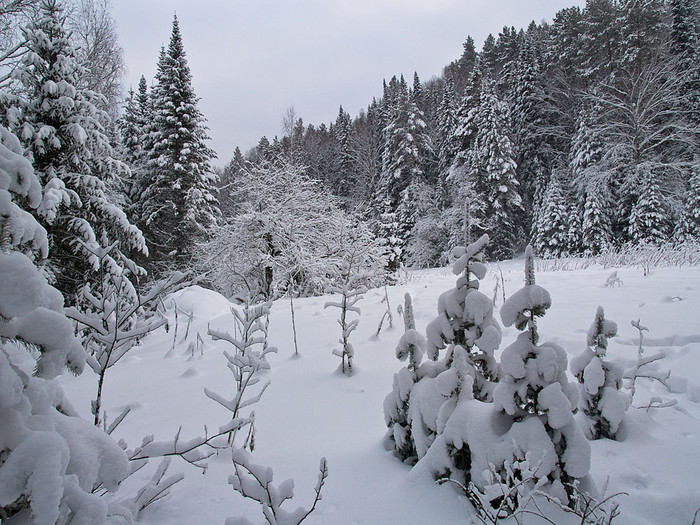 Belokur_Nature_049.jpg