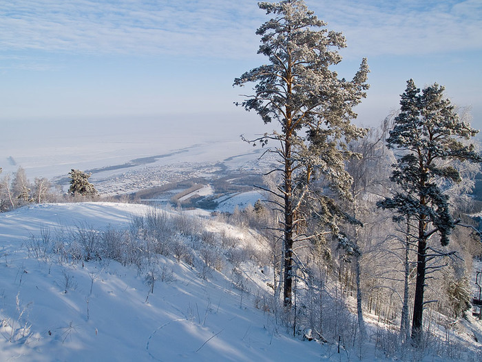 Belokur_Nature_055.jpg