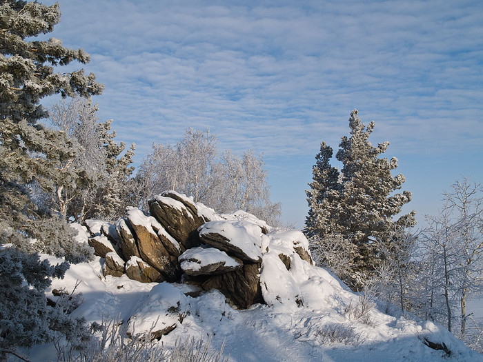 Belokur_Nature_058.jpg