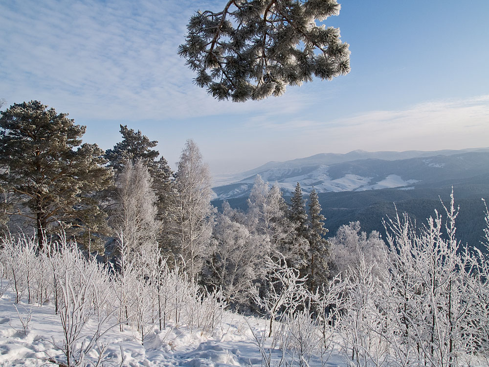 Belokur_Nature_061.jpg