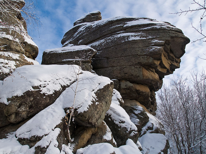 Belokur_Nature_072.jpg