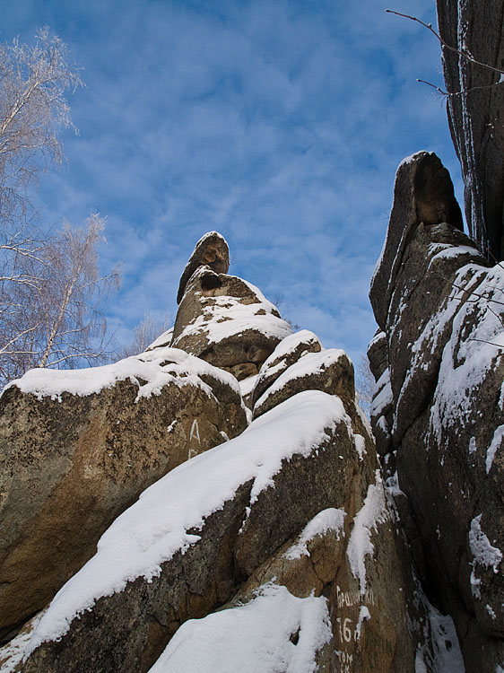 Belokur_Nature_073.jpg