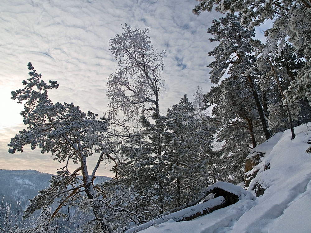 Belokur_Nature_081.jpg