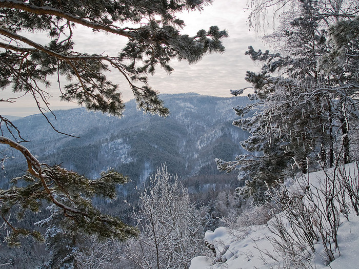 Belokur_Nature_082.jpg