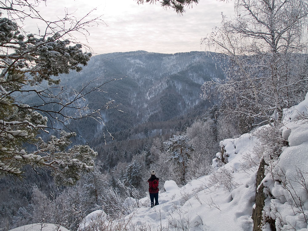 Belokur_Nature_084.jpg