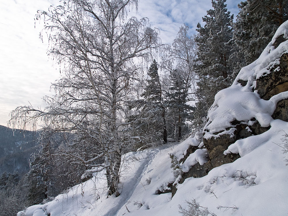 Belokur_Nature_085.jpg