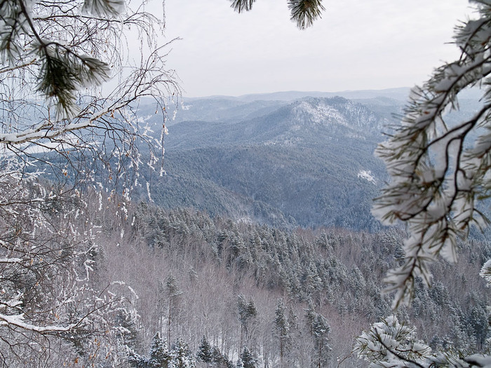 Belokur_Nature_087.jpg