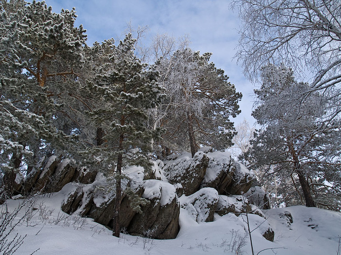 Belokur_Nature_090.jpg