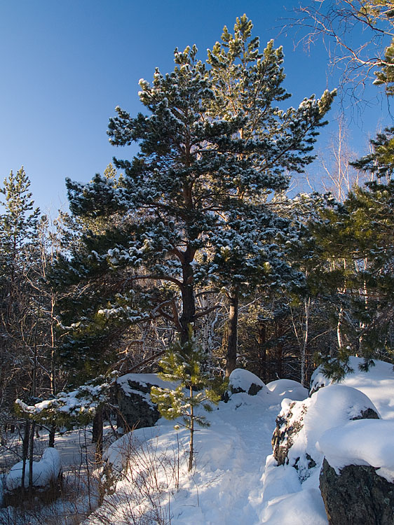 Belokur_Nature_097.jpg