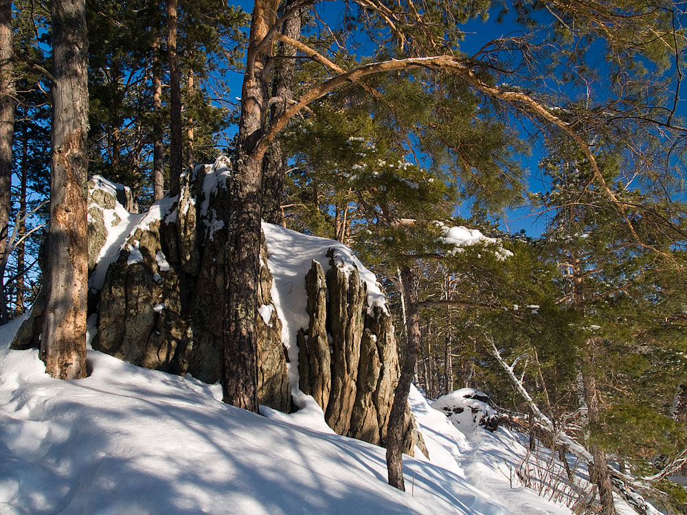 Belokur_Nature_100.jpg