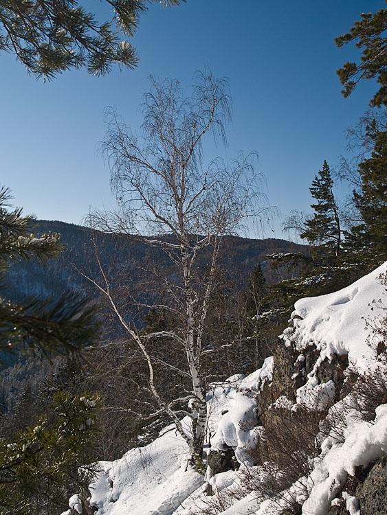 Belokur_Nature_101.jpg