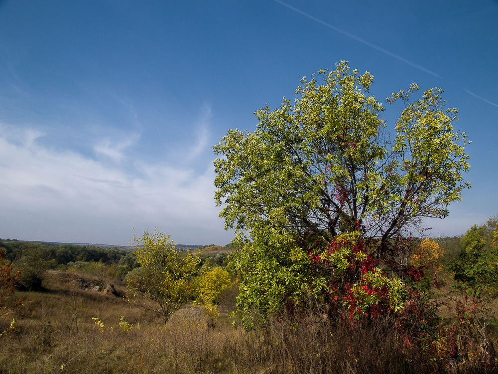 Ukr-Nature-045.jpg