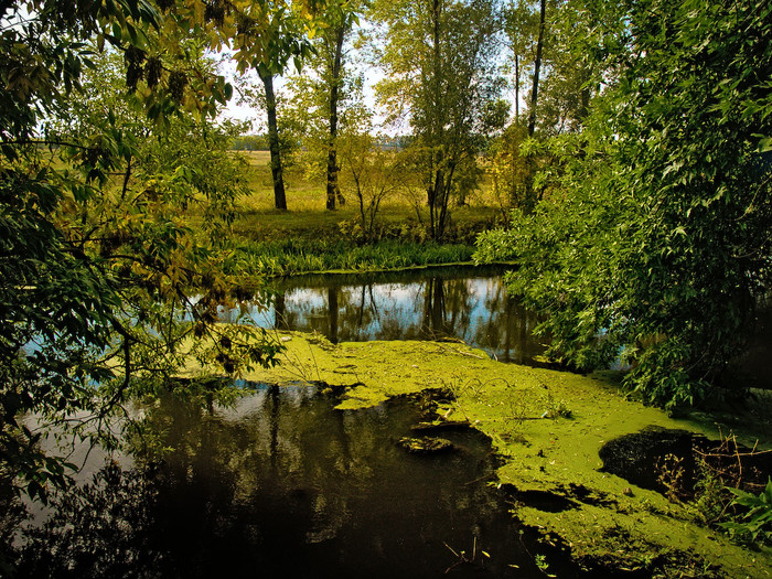 Ukr-river-015.jpg