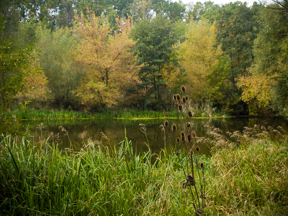 Ukr-river-038.jpg