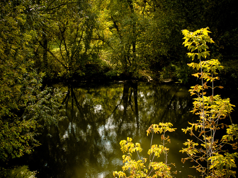 Ukr-river-056.jpg